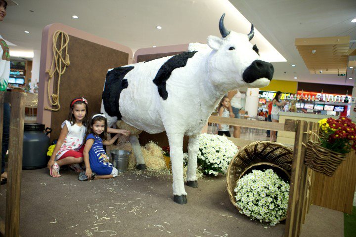 Programa aproxima crianças do meio rural