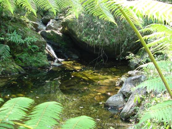 Fontes de degradação ambiental