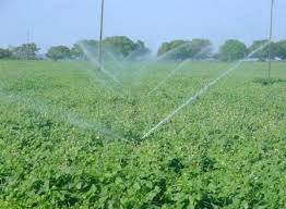 Manejo do sistema de irrigação por aspersão