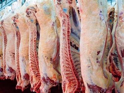 Primeiro semestre regista aumento das exportações de carne bovina