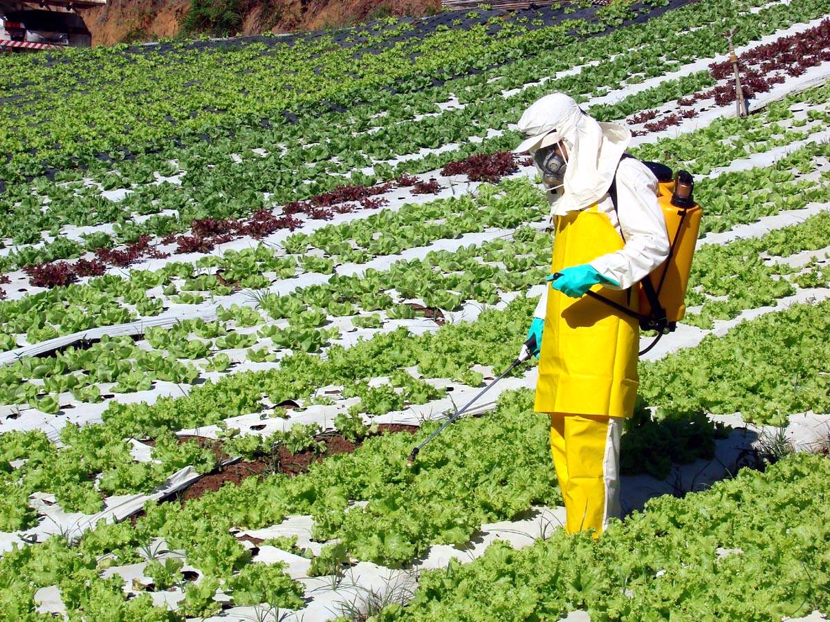 Empresa destaca produto inovador no tratamento contra pragas